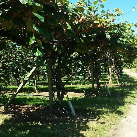 Alloggio per agriturismo Corte Tonolli Valeggio sul Mincio