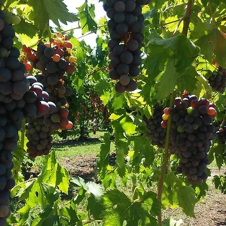 Alloggio per agriturismo Corte Tonolli
