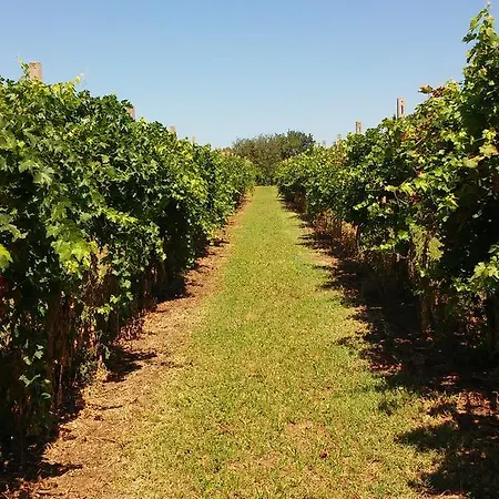 Alloggio per agriturismo Corte Tonolli *