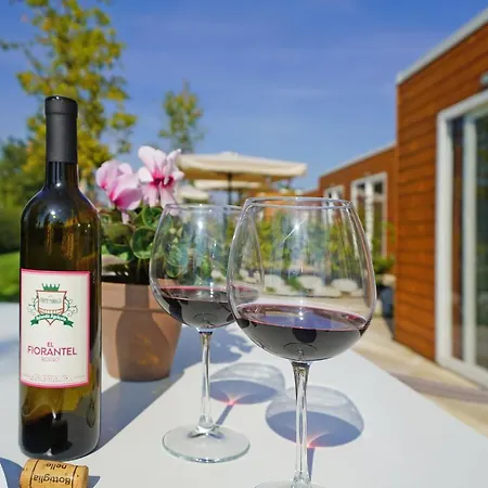 Alloggio per agriturismo Corte Tonolli *